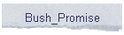 Bush_Promise